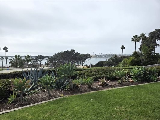 Corona Del Mar State Beach Park by null