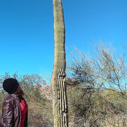 3 Cities & Nature Tour