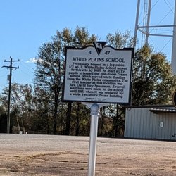 White Plains School Historical Marker, Pelzer
