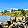 Photo of K9 Wild Adventures
