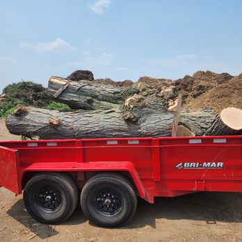 Loyal Tree Care - Tree Services Near Me Loyal Tree Care - Tree Services Near Me