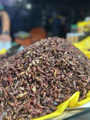 La Oaxaqueña by null