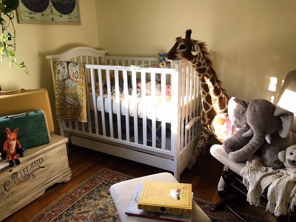 Fox & Fern Family Childcare - childcare center in Oxford, MA
