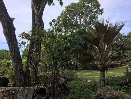 Mānoa Heritage Center by null