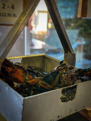 New England Lobster Market & Eatery by null