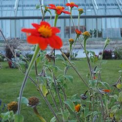 Schlosspark Esterhazy