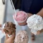 Photo of Hoffman's Ice Cream & Deli