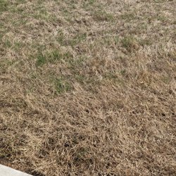 TruGreen Lawn Care