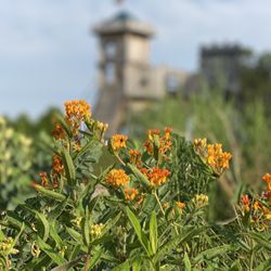 Covington City Park - Native Gardens