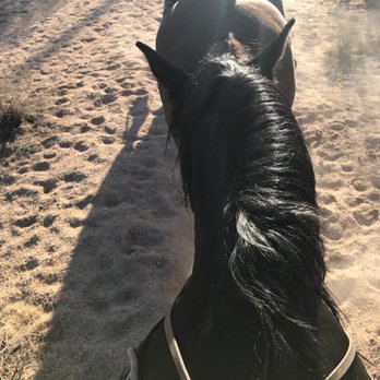 MacDonald's Ranch - Horseback Riding Near Me - Scottsdale, Arizona MacDonald's Ranch - Horseback Riding Near Me - Scottsdale, Arizona