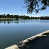 Wheel Fun Rentals - Washington Park gift card