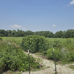 More Gardens