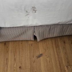 Disgusting hair and dustballs on the sheets and floor when we checked in.