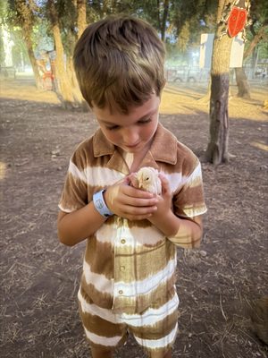 Sweet Eats Adventure Farm & Petting Zoo by null