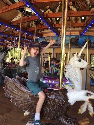 Tom Mankiewicz Conservation Carousel by null