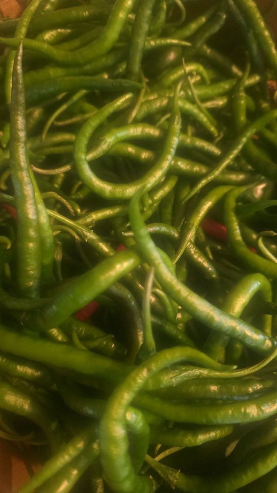 Mills Farm & Produce - beekeeping in Walhalla, SC