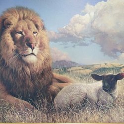 Comprehensive Behavioral Healthcare - Some day God will change the minds of animals and man. Where all could live together.