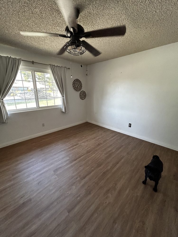 JAVIER’S CARPET Updated September 2024 19 Photos 1292 W 9th St