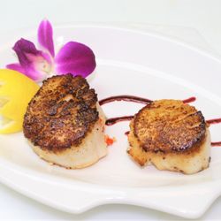 Brian Coffey Catering - Pan Seared Scallops