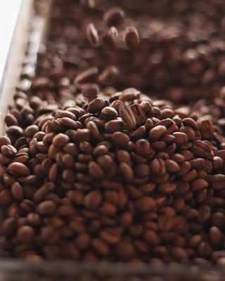 Doppio Coffee by null