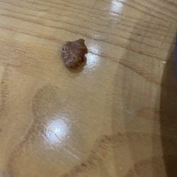 Golden Chick - Weird pebble thing in my French fries also