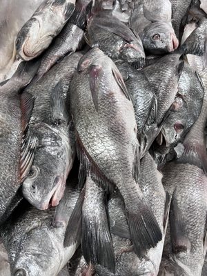 Nustea Bazzar - Seafood Market