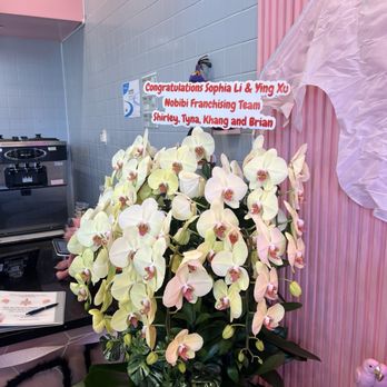 Nobibi Ice Cream & Tea - Bouquet Flower - Ice Cream & Frozen Yogurt Near Me - Pomona, California Nobibi Ice Cream & Tea - Bouquet Flower - Ice Cream & Frozen Yogurt Near Me - Pomona, California