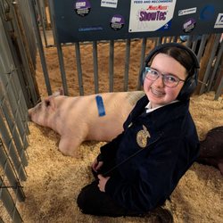 Ottenwalter Show Pigs