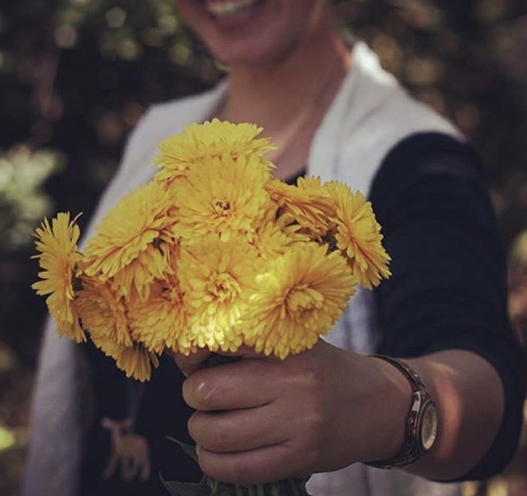 Sustain DuPage Garden - social services organization in Wheaton, IL