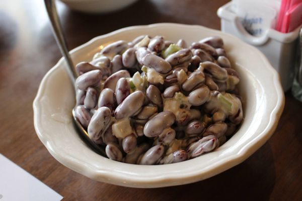 White Fence Farm by null