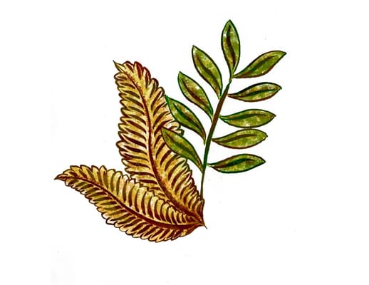 A Better Way Massage