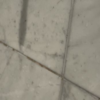 Hush Rooftop Bar - Black mold on tile of shower - Hotels Near Me - Washington, DC, District of Columbia
