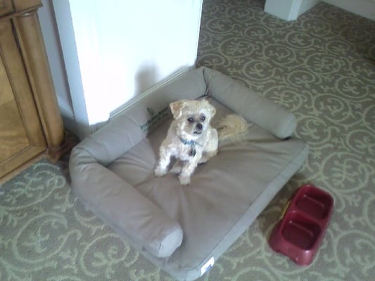 Park Hyatt Aviara Resort, Golf Club & Spa by null Park Hyatt Aviara Resort, Golf Club & Spa by null