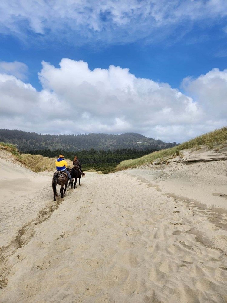 C & M STABLES Updated August 2024 53 Photos & 70 Reviews 90241