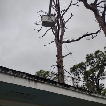 Perez Vasquez Tree Service - Tree Services Near Me Perez Vasquez Tree Service - Tree Services Near Me