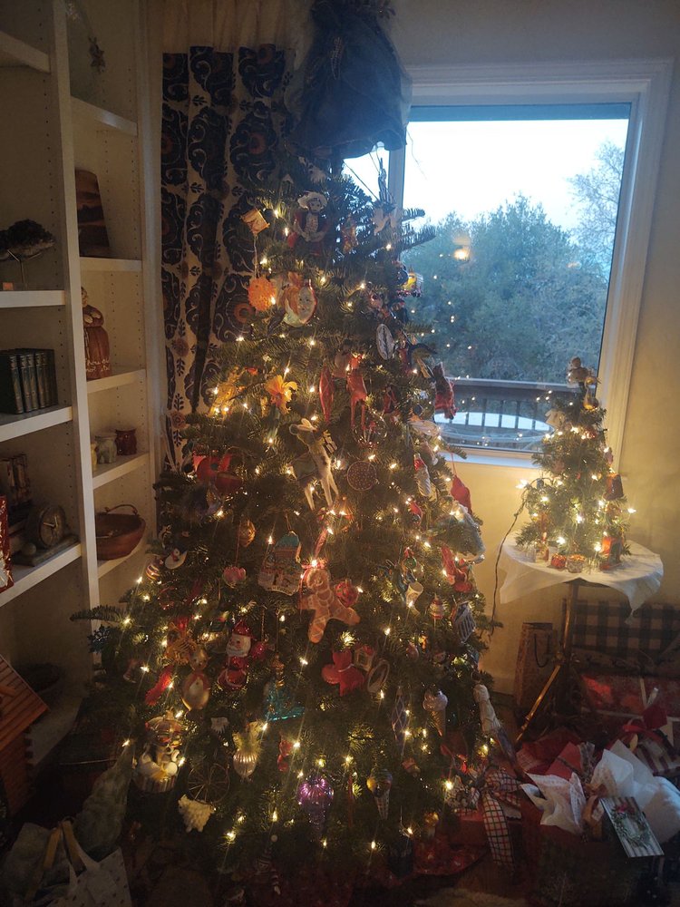 COUSINS’ CHRISTMAS TREES Updated July 2024 14 Reviews 7416