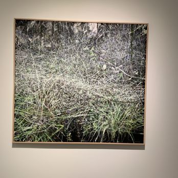 Equinox Gallery - Art Galleries Near Me - Vancouver, British Columbia