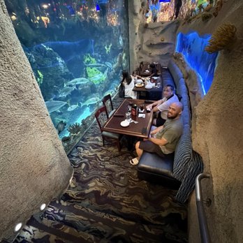 Downtown Aquarium - Museums Near Me - Denver, Colorado Downtown Aquarium - Museums Near Me - Denver, Colorado