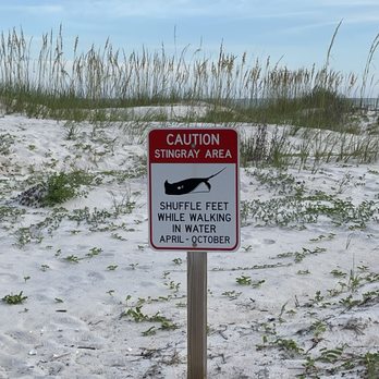 St George Island State Park - Watch out! - Parks Near Me - Eastpoint, Florida St George Island State Park - Watch out! - Parks Near Me - Eastpoint, Florida