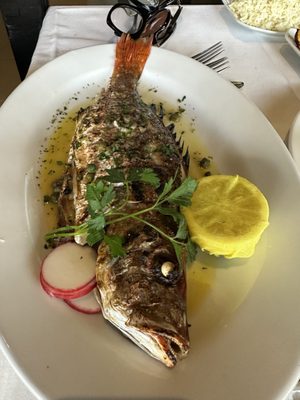 Sea Grill Restaurant by null