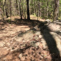 Pitner Dog Park 27 Photos 11 Reviews Dog Parks 2450 Pitner Rd Acworth Ga Phone Number Yelp