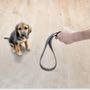 Photo of Beverly's Dog Grooming Salon
