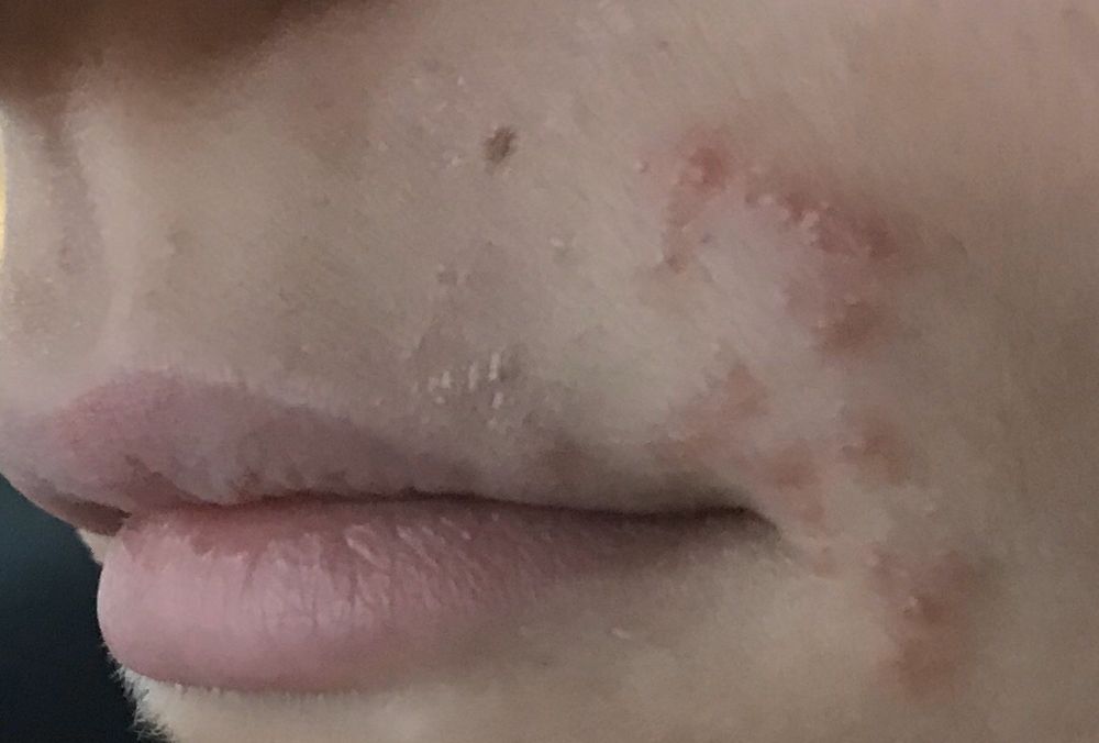 EARTHSAVERS 40 Photos & 90 Reviews 3301 Veterans Blvd, Metairie