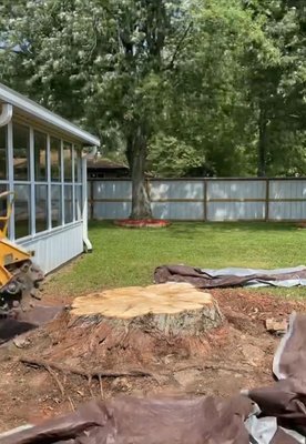 Indiana Stump Remover