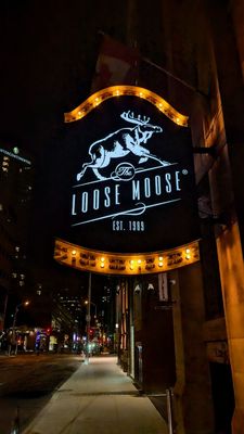 Loose Moose / Antler Room by null