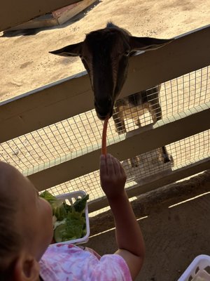 River Street Ranch by null