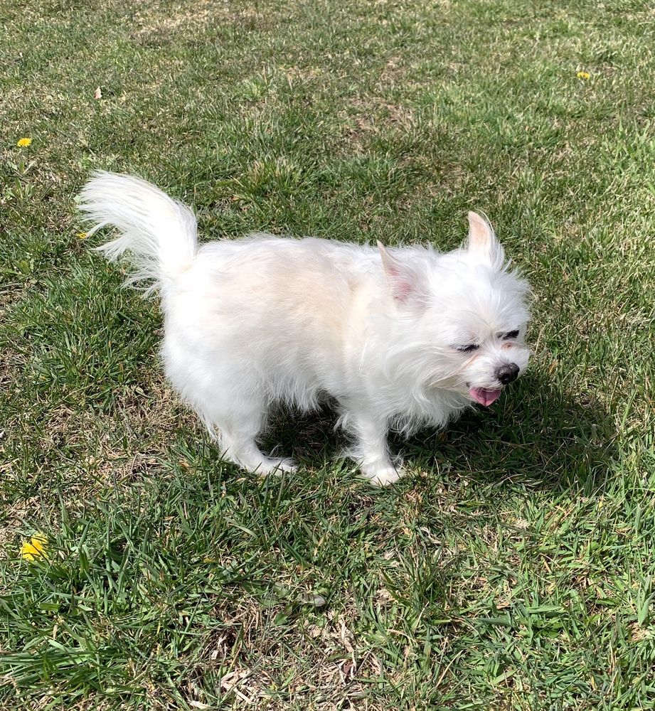 KIRK VETERINARY CLINIC Updated September 2024 1960 Main St, Jasper