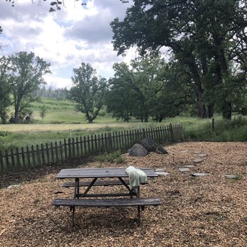 Five Butterflies Lodging - Picnic area - Bed & Breakfast Near Me