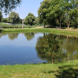 Knieperteich