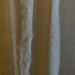 Clarion Hotel & Conference Center Leesburg - Not sure what's on this curtain